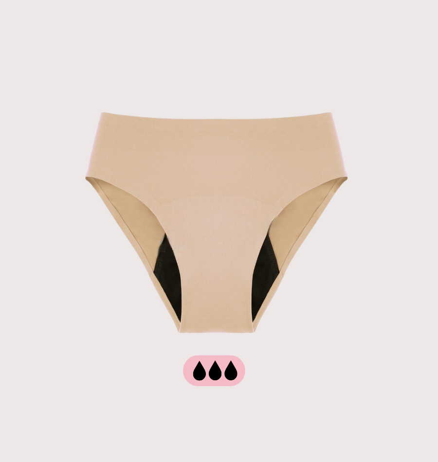 ANNA'S Full Brief 4-layer