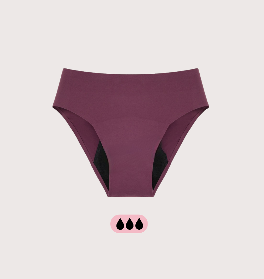 ANNA'S Full Brief 4-layer